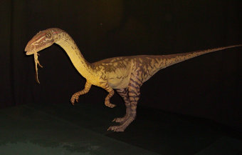 Dinozaur Celofyz