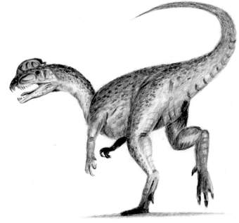 Dinozaur Dilofozaur