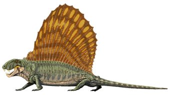 Dinozaur Dimetrodon