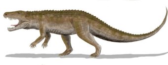 Dinozaur Ornitozuch