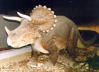Dinozaur Triceratops