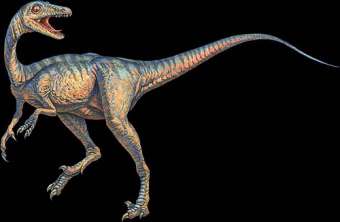 Dinozaur Troodon