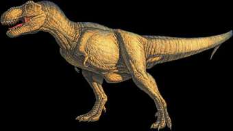 Dinozaur Tyranozaur